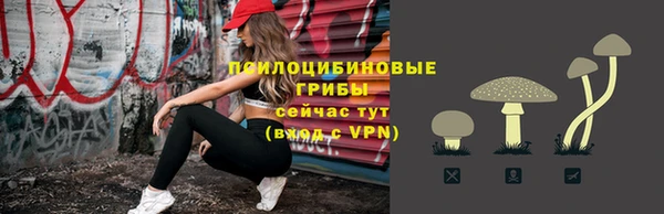 спиды Медногорск