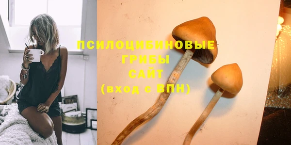 прущие крисы Медвежьегорск