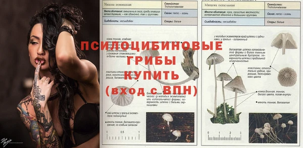 прущие крисы Медвежьегорск